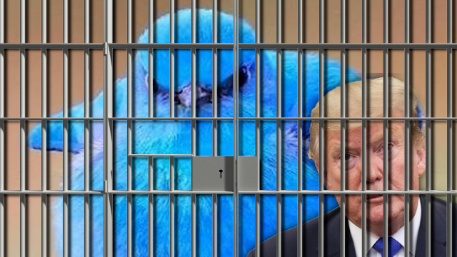 donald trump twitter jail
